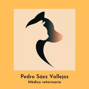 Imagen de portada para Ebook "Guía Desparasitación Canina": Tu Solución Integral para el Bienestar Canino