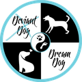 D2D Coaching logo