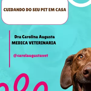 Imagem do curso Cuidando do seu pet em casa