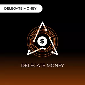 Imagem de capa para o Ebook DELEGATE MONEY