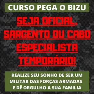 CURSO PEGA O BIZU