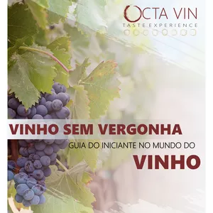 Imagem de capa para o Ebook Vinho Sem Vergonha - O GUIA DO INICIANTE NO MUNDO DO VINHO