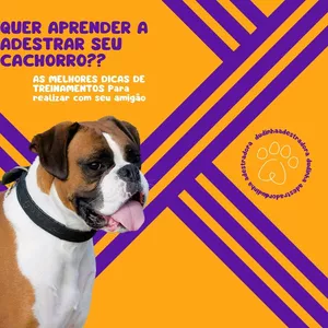 Imagem de capa para o Ebook adestramento de cachorros= capitulo 1