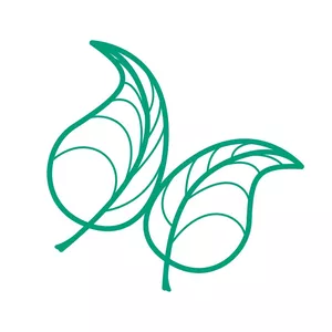 Imagem de capa para o Curso online Comer Consciente