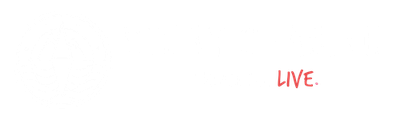 Story Chasing logo