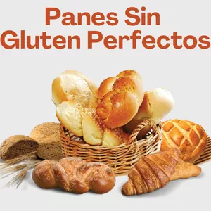 Imagen de portada para Ebook Panadería Libre: 40 recetas de panes sin gluten para tu día a día