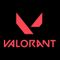 Valorant 101