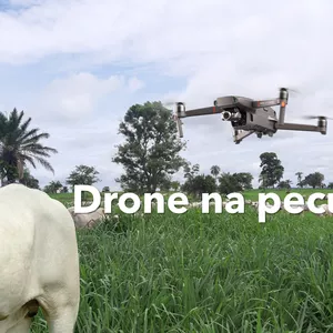 Imagem de capa para o Curso online Drone na pecuária