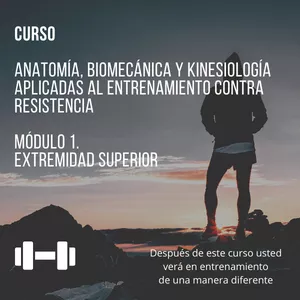Imagen principal del producto CURSO: Anatomía, Biomecánica y Kinesiología aplicadas al entrenamiento contra resistencia. Módulo 1. Extremidad Superior 