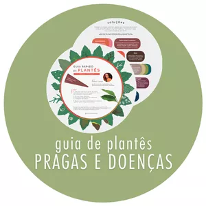 Imagem de capa para o Curso online Guia Rápido de Plantês: Pragas e Doenças – por Carol Costa
