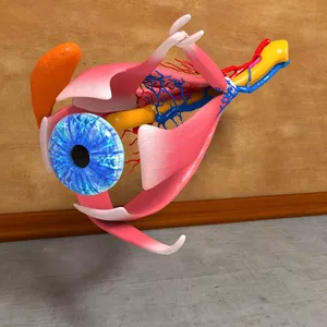 Imagem de capa para o Curso online 30 Reels Narrados, Animados e Editáveis para Oftalmologistas 