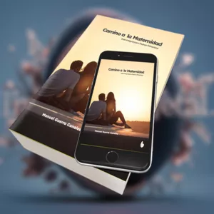 Imagen de portada para Ebook Camino a la maternidad