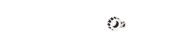 BJJ Mechanics
