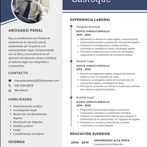 Cover image for Ebook Curriculum Profesional 