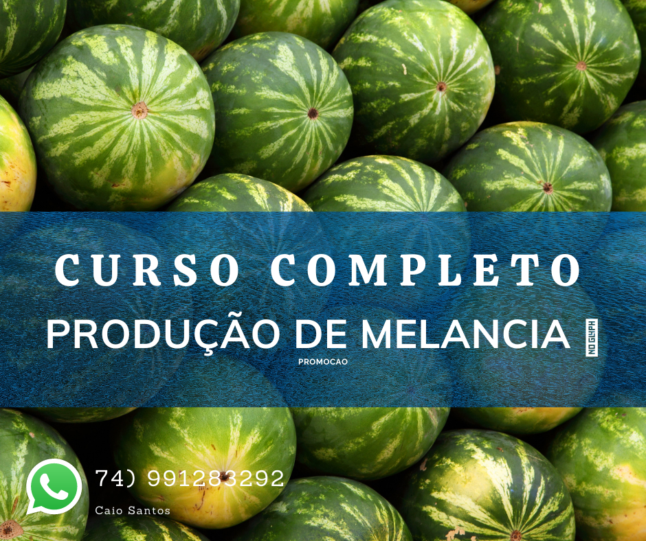 Curso Curso produção de melancia 🍉