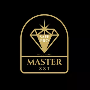 Imagen de portada para Curso online Programa Master SG SST