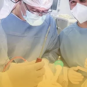 Imagem de Zygoma Start On-Line Course criado por Carlos Henrique Franza na hotmart