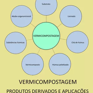 Vermicompostagem: produtos derivados e aplicações