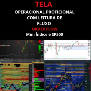 Imagem do curso Pare de Testar Indicadores e Comece a Lucrar Agora!  Apresentamos a Tela Operacional Especializada para Mini Índice e SP 500 a solução definitiva