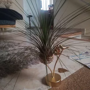 Imagen de portada para Curso online vivero virtual