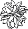 The Aromatherapy Company International Training Centre