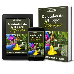 Imagem de capa para o Ebook Apostila Cuidados de UTI para Orquídeas - Passo a passo