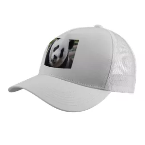 Imagem de capa para o Curso online Boné Panda