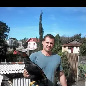 Imagem de capa para o Curso online COMO FAZER CONSANGUINIDADE EM GALOS COMBATENTES.