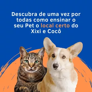 Imagem de capa para o Ebook PET: Xixi e Cocô no lugar certo: o método inflável para ensinar seu pet a fazer suas necessidades no local adequado .