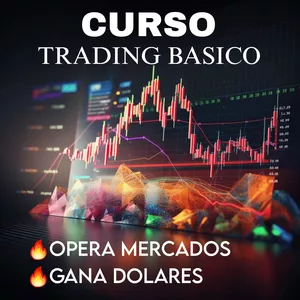 Imagen de portada para Curso online CURSO DE TRADING BASICO DE 0 A TU 1 OPERACION GANADORA EN DOLARES