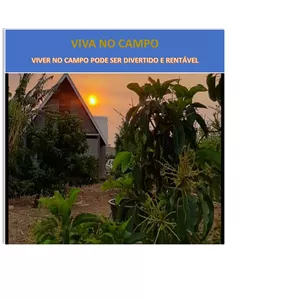 Imagem de capa para o Ebook Manual de Vida no Campo. Tudo que você precisa saber antes de deixar a cidade e embarcar nessa aventura vibrante que é a vida no campo. 