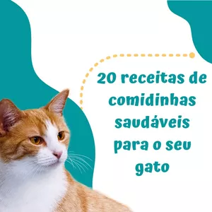 Imagem de capa para o Ebook 20 receitas de comidinhas saudáveis para gatos