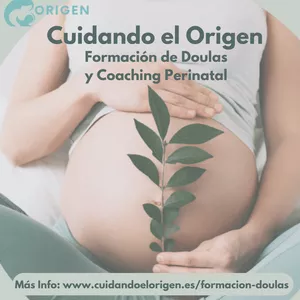 Imagen de portada para Curso online Formación de Doulas y Coaching Perinatal Cuidando el Origen