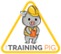 The Training Pig