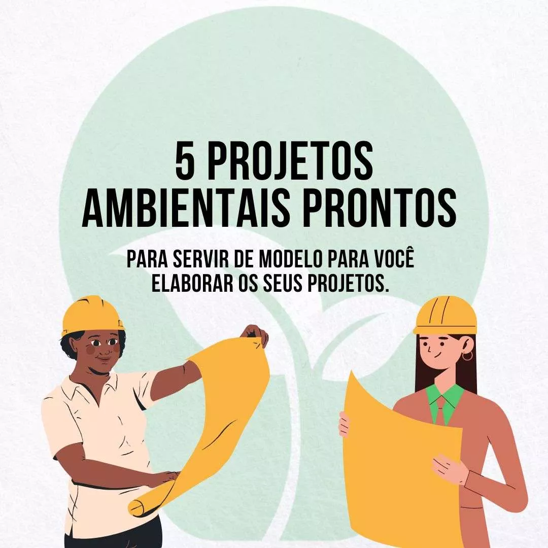 Projeto Consciência Negra 1 Ao 5 Ano
