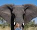 Travel the World, Give Back and Make a Living – Secrets of a Travel Expert