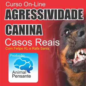 AGRESSIVIDADE CANINA - Casos reais