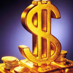 Cover image for Online course New System Video