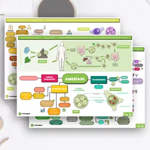 Imagem de capa para o Curso online Mapa Mental: Amebíase e Amebas de Vida Livre (Parasitologia)