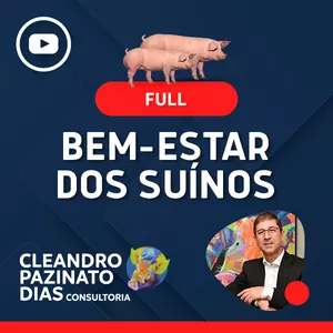Imagem de capa para o Curso online Bem-estar dos suínos