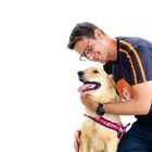 Cão Feliz