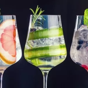 Imagem de capa para o Curso online Um guia de como combinar e aproveitar o Gin