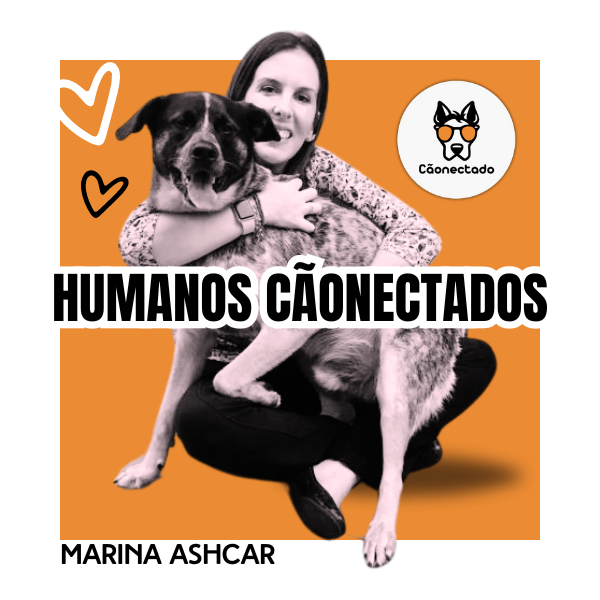 Imagem do curso Curso Humanos Cãonectados