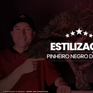 Imagem de capa para o Curso online Estilização: Pinheiro Negro