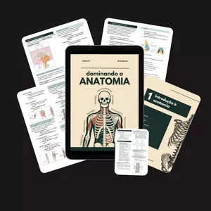 Imagem de capa para o Curso online Dominando a Anatomia