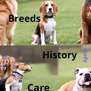 Imagen de portada para Ebook Dogs, breeds, history,care
