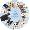 The Canine Experience