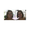 Kate Melillo and Elizabeth Morel