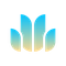 MetricsDAO Academy
