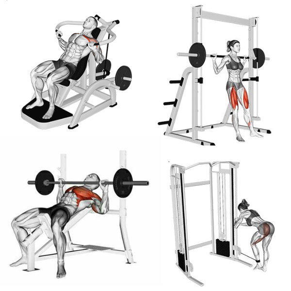 Planilha +100 Planilhas de Treino e Vídeos